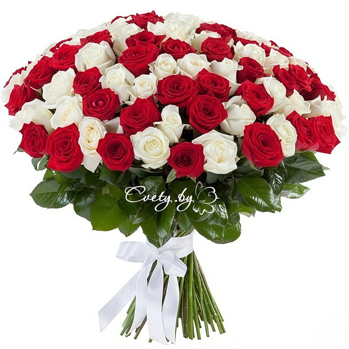 Best Wishes