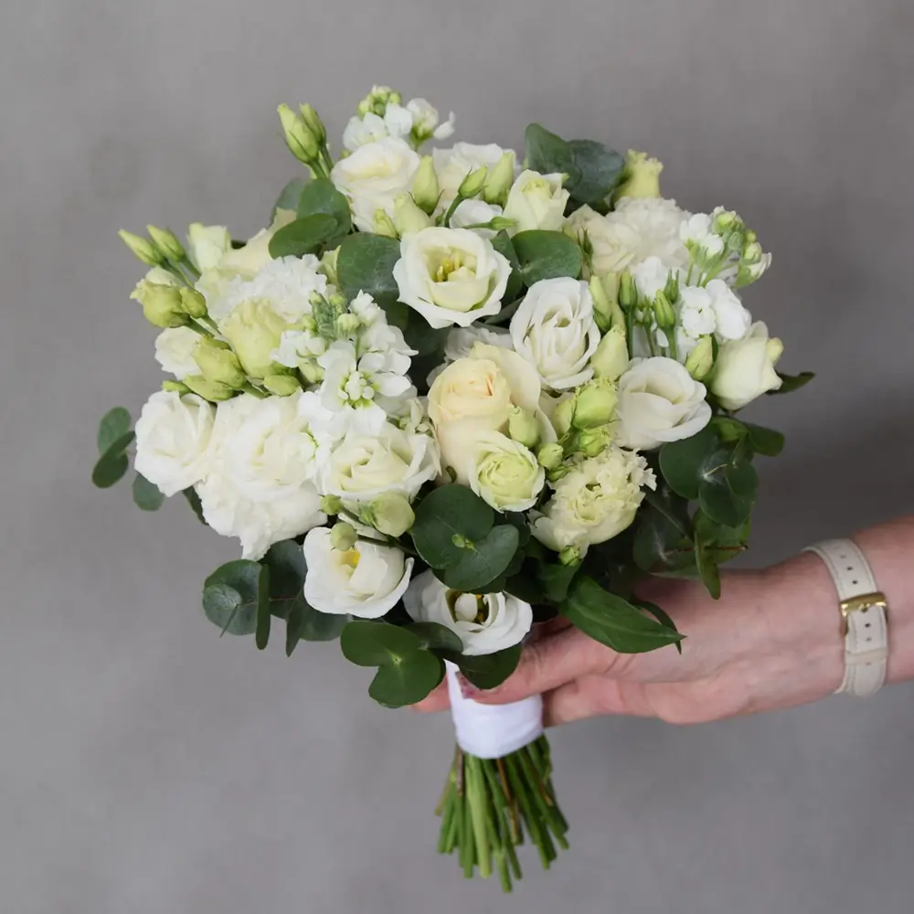 � ���� �����. �������� ������ Cvety.by